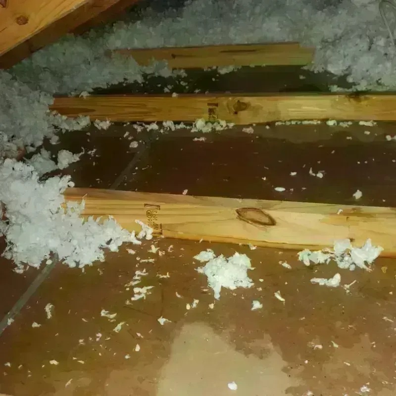 Attic Water Damage in Decorah, IA